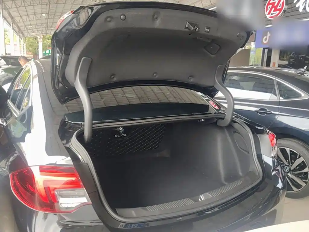 Buick Regal — миниатюра 19