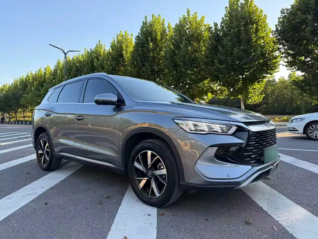 BYD Pro New Energy — миниатюра 4