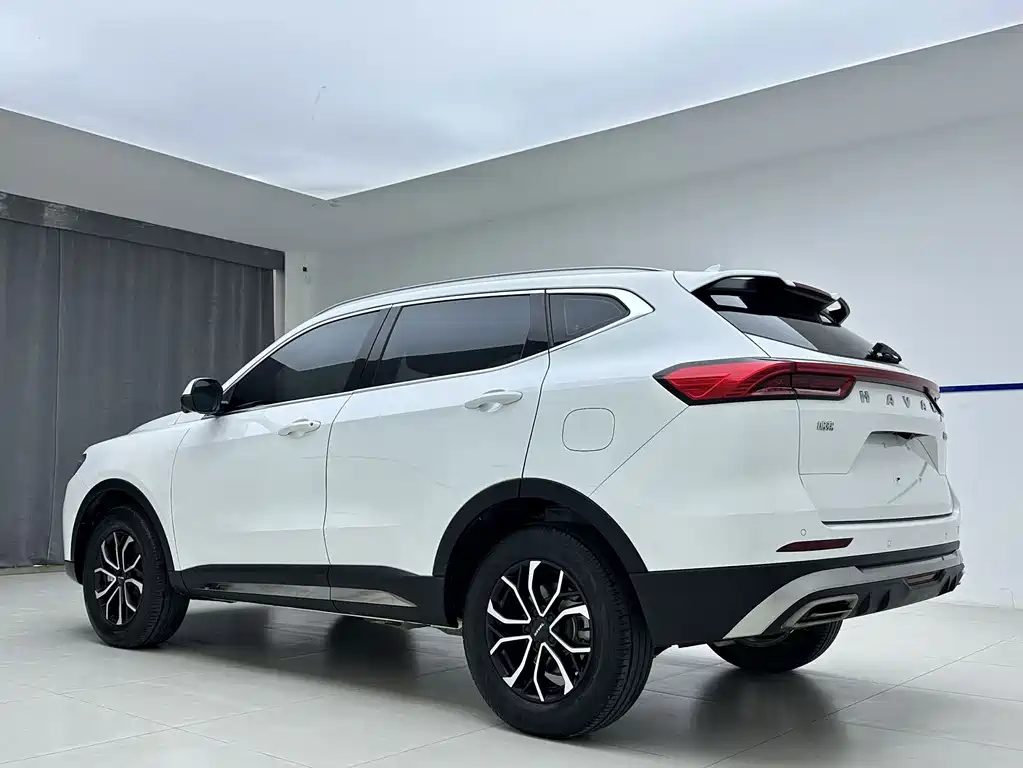 Haval H6 — миниатюра 4