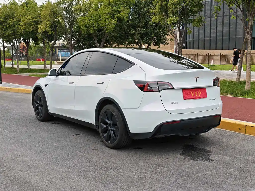 Tesla Model Y — миниатюра 4