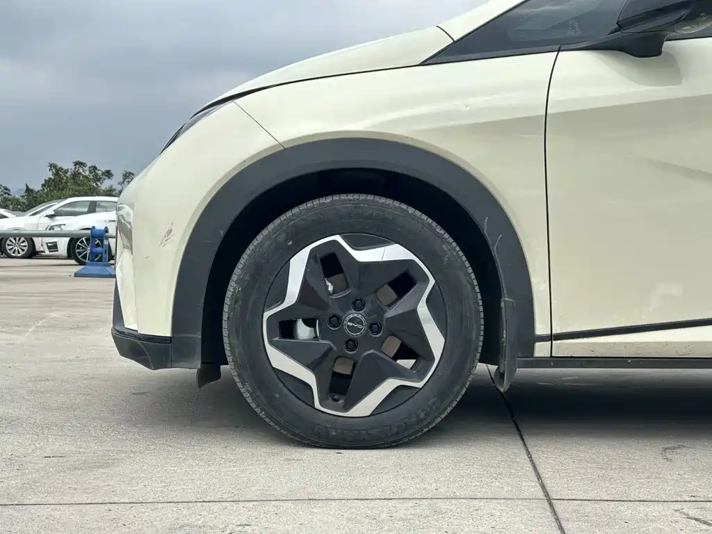 BYD Dolphin — миниатюра 6