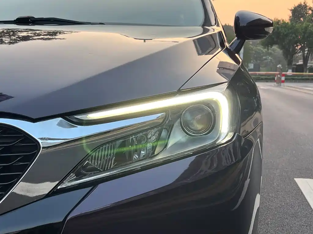 DS DS 5LS — миниатюра 27