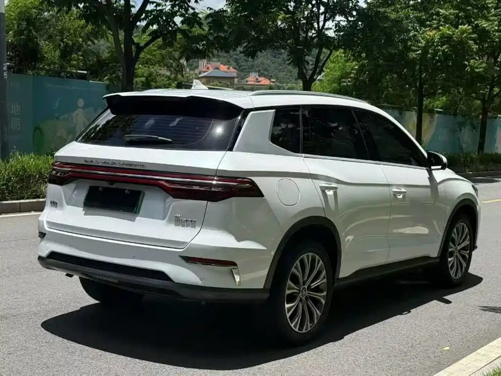 BYD Pro New Energy — миниатюра 8