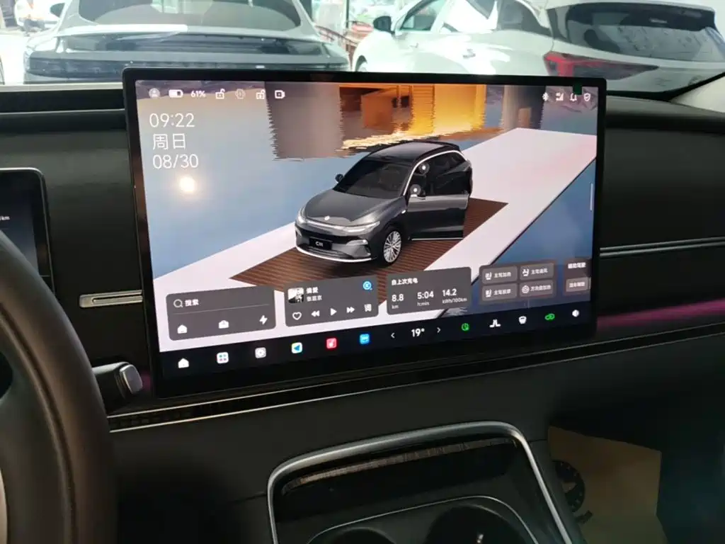 Leapmotor Leapmotor C11 — миниатюра 13