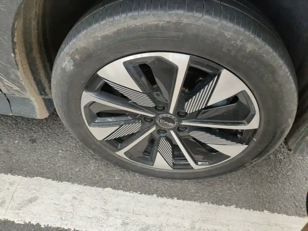 BYD PLUS New Energy — миниатюра 24