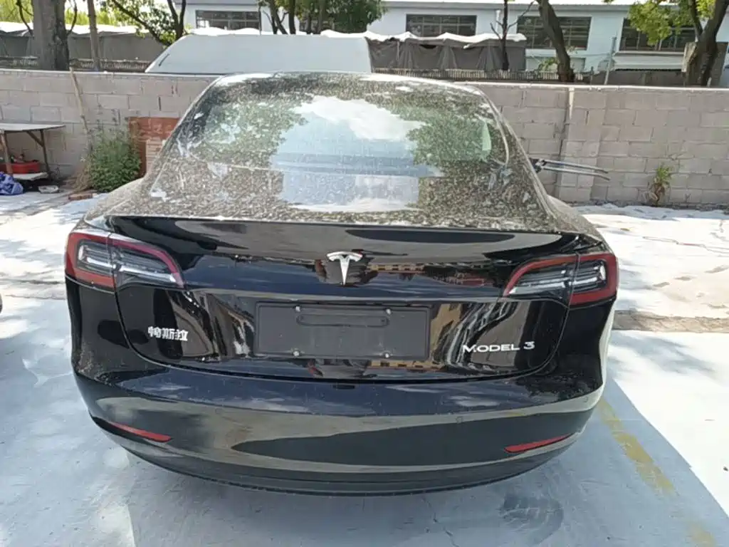 Tesla Model 3 — миниатюра 6