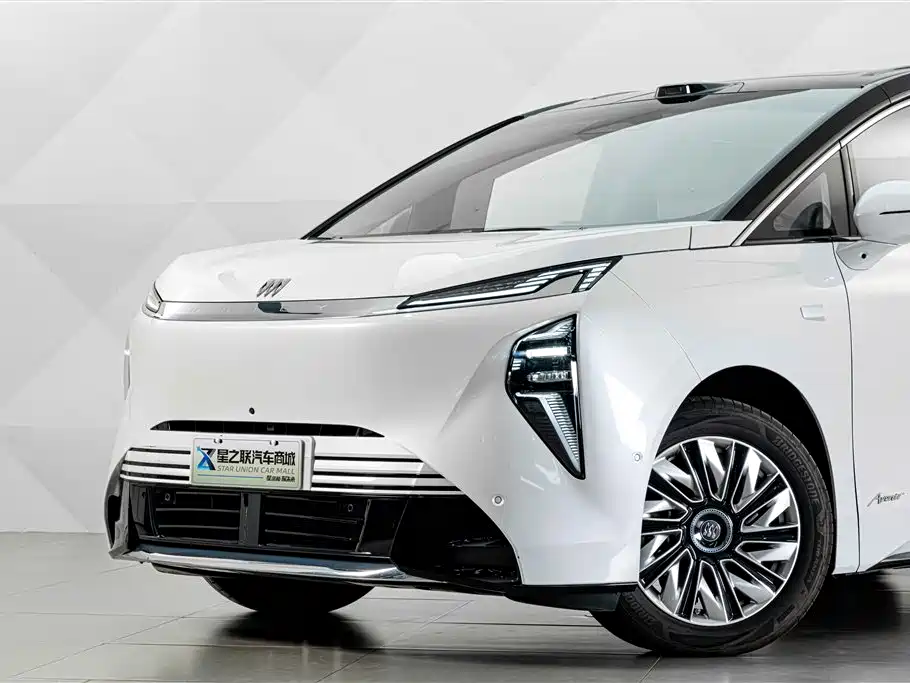 Buick Не похоже, что ты семья. — миниатюра 3