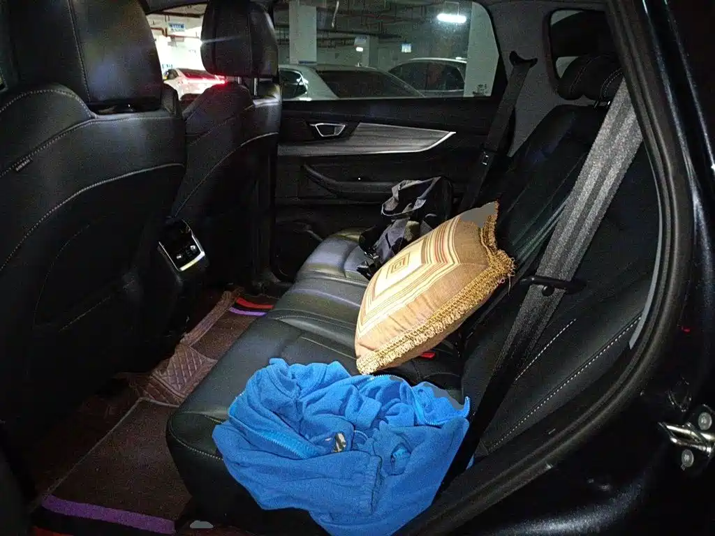 Chery Tiggo 8 PLUS — миниатюра 18