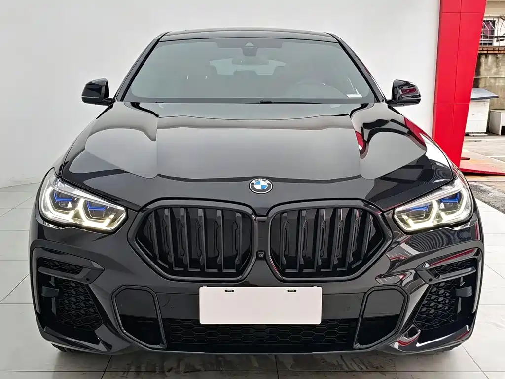 BMW X6 — миниатюра 2