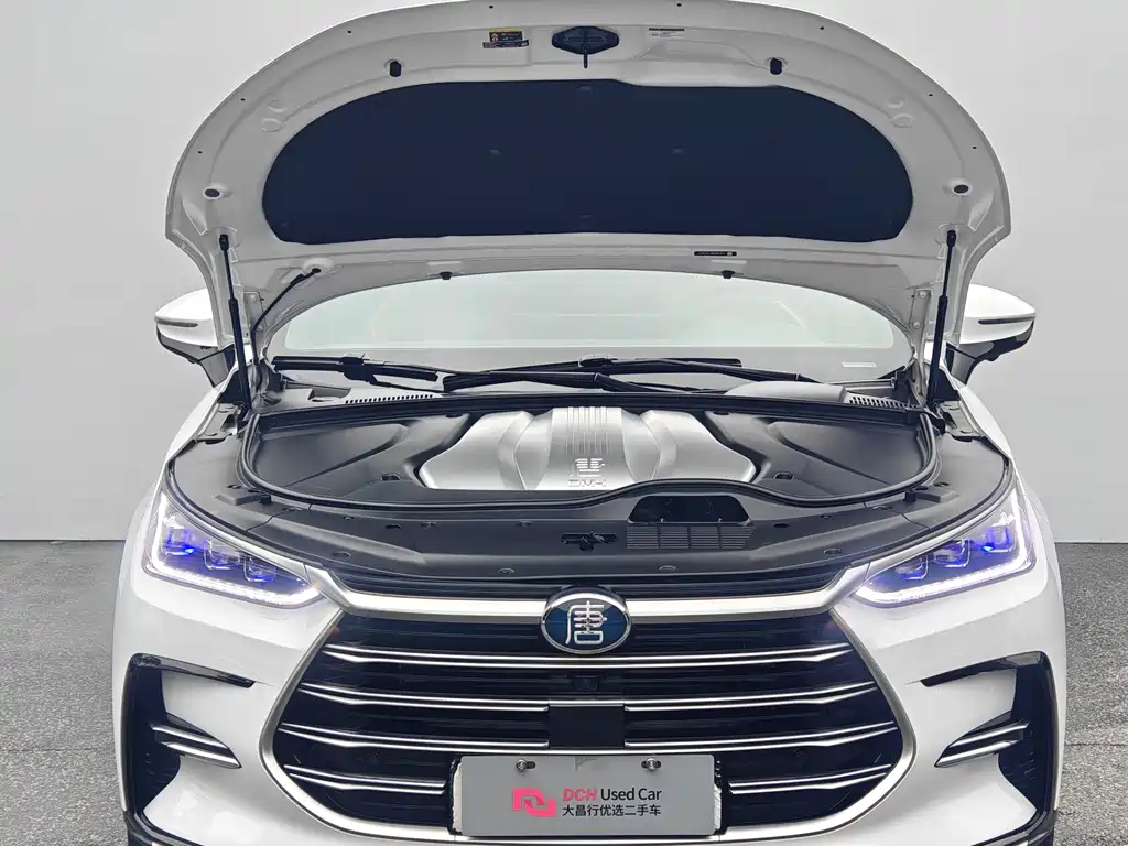 BYD Tang New Energy — миниатюра 7