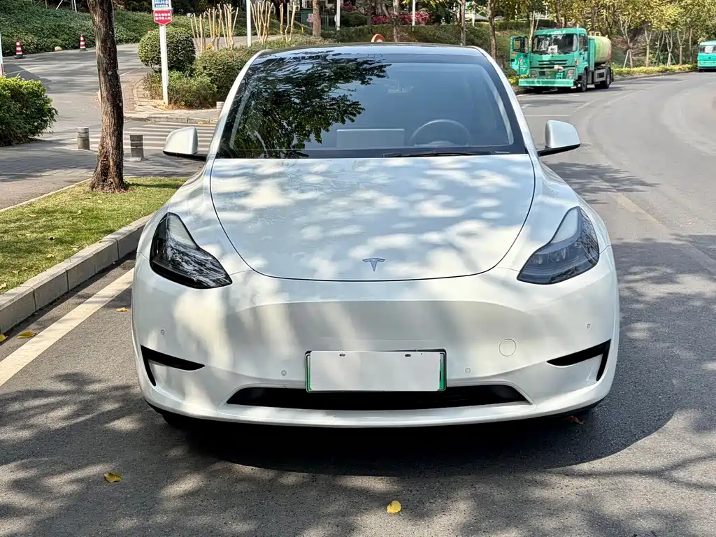 Tesla Model Y — миниатюра 2