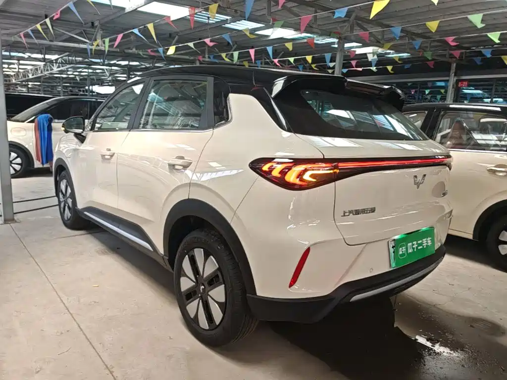 Wuling BinguoS S 2025 325km Premium