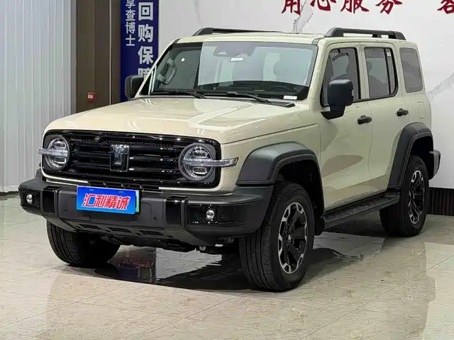 2025 TANK 300
