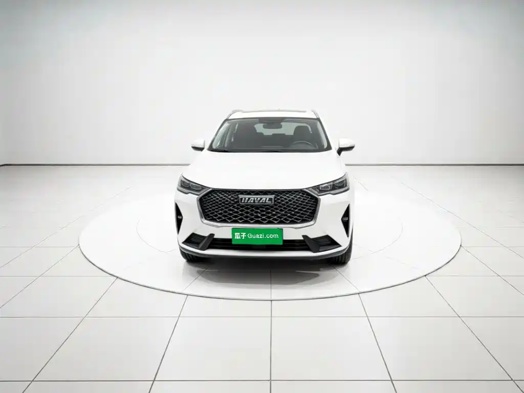 Haval H6 — миниатюра 2