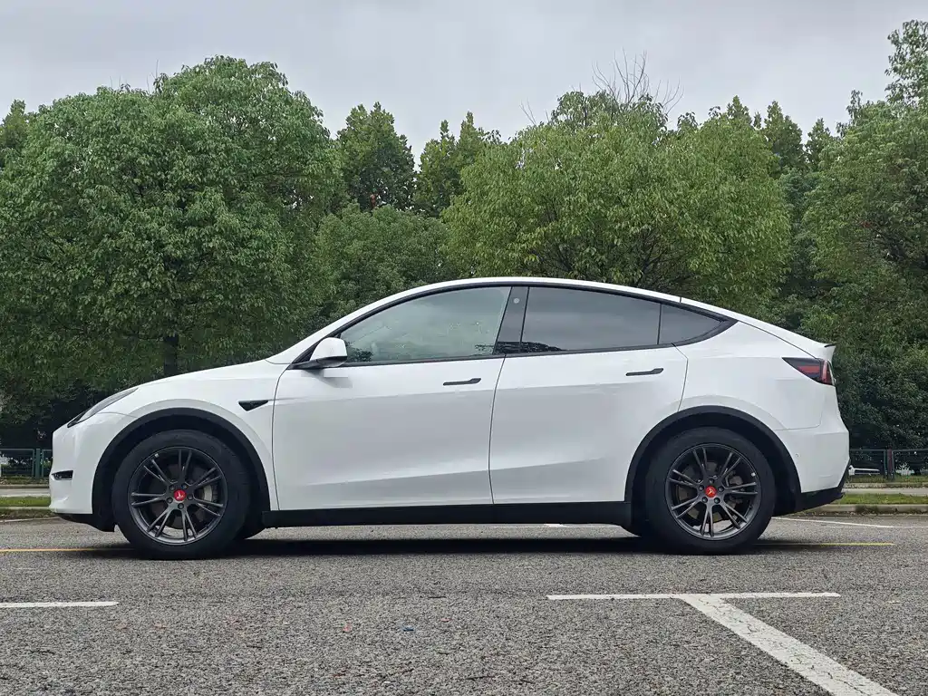Tesla Model Y — миниатюра 7