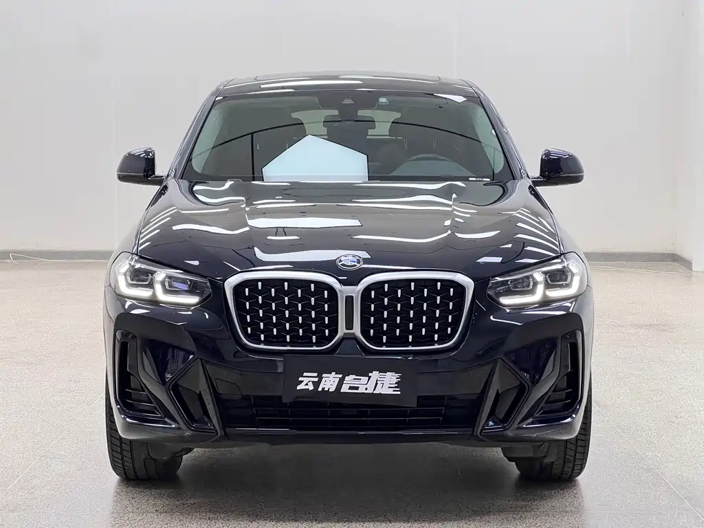 BMW X4 — миниатюра 2
