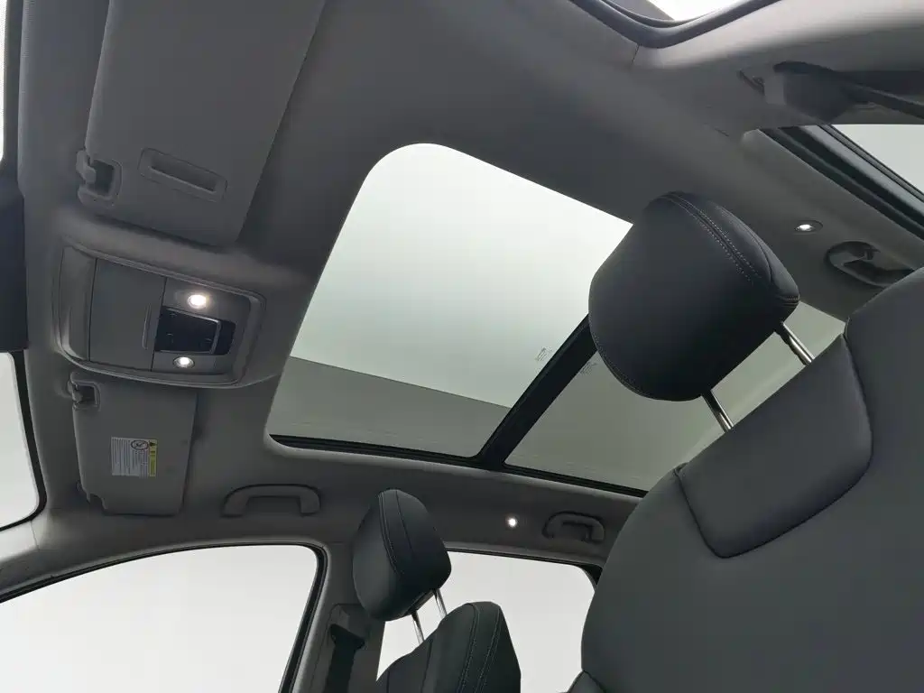 BYD Pro — миниатюра 14