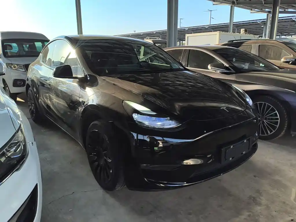 Tesla Model Y — миниатюра 4