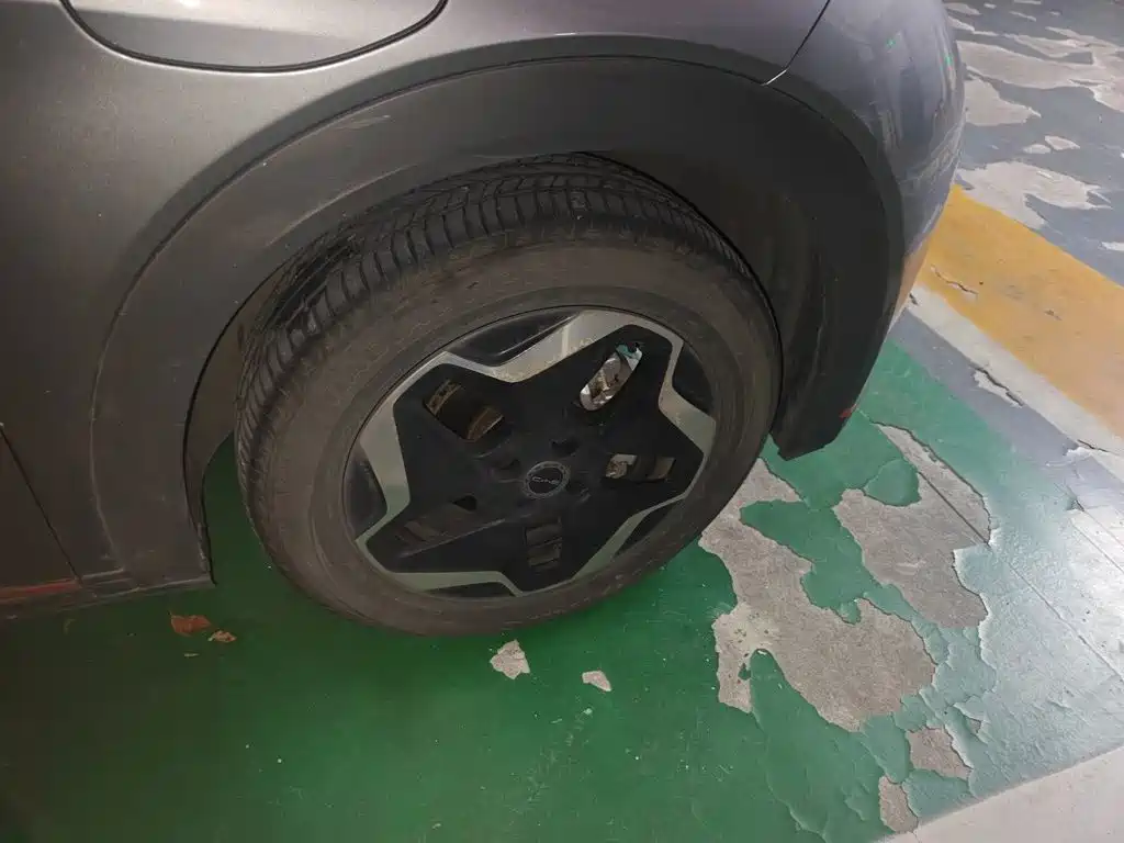 BYD Dolphin — миниатюра 25
