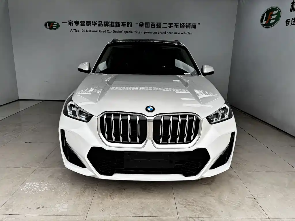 BMW X1 — миниатюра 2