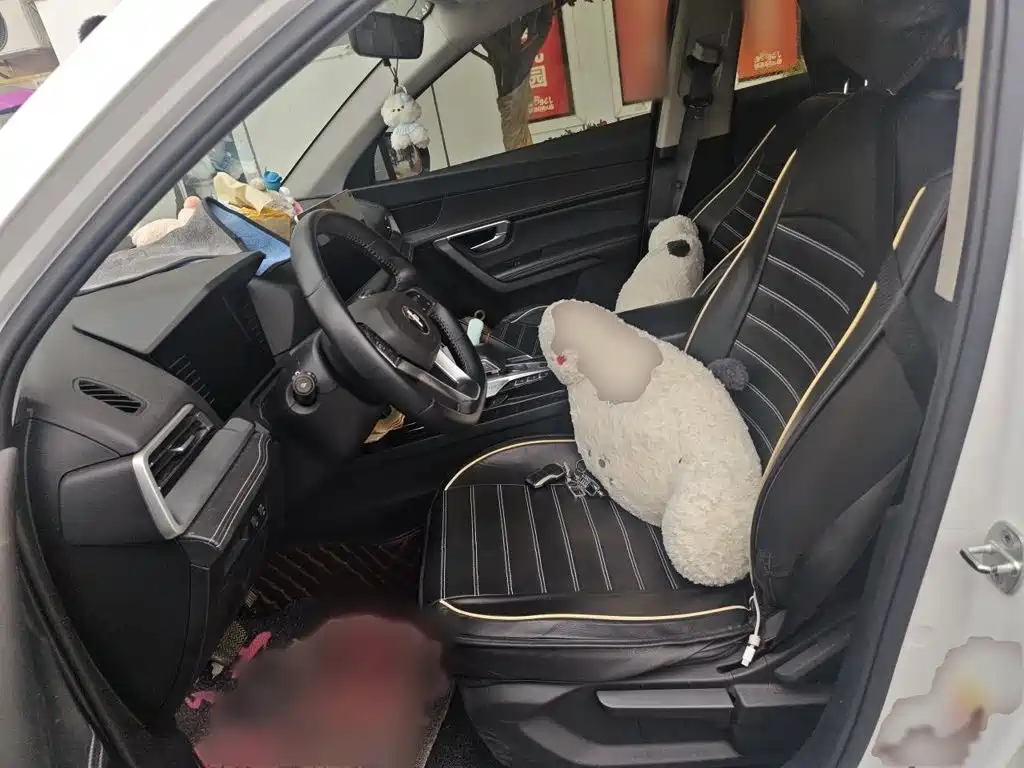 BYD Pro — миниатюра 8