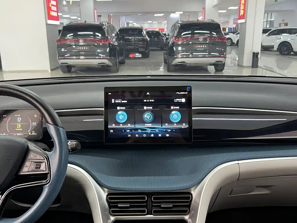 BYD Pro — миниатюра 7