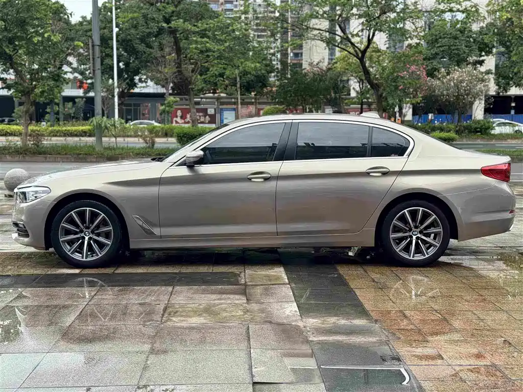 BMW 5 Series 5 2018 528Li