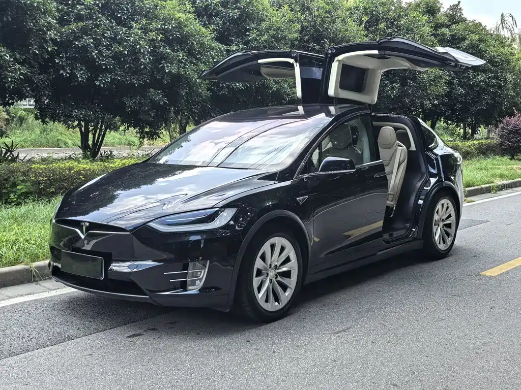 Tesla Model X — миниатюра 14