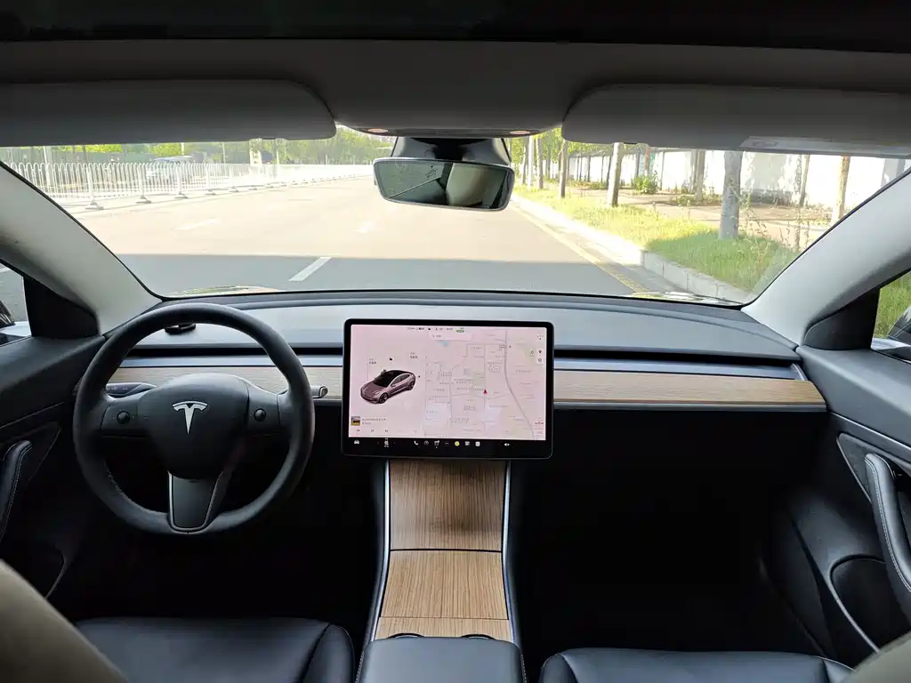 Tesla Model 3 — миниатюра 5