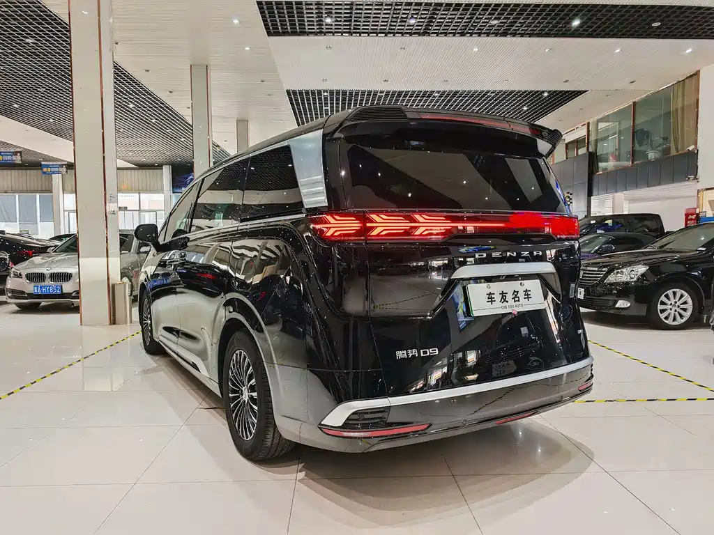 Denza Denza D9 — миниатюра 19