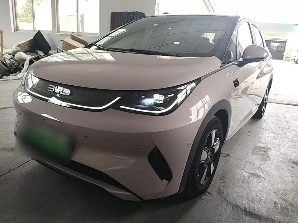BYD Dolphin — миниатюра 2
