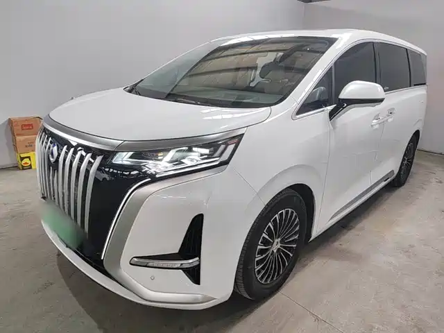 2024 Denza D9
