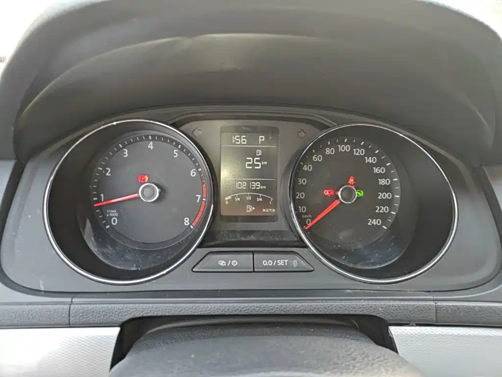 Volkswagen Gran Lavida — миниатюра 12