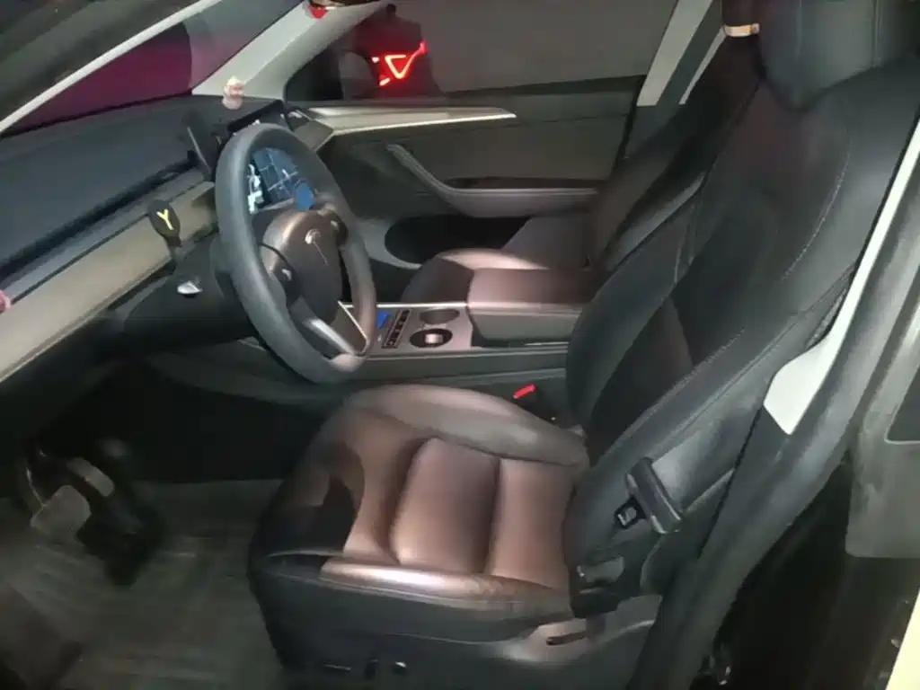 Tesla Model Y — миниатюра 8