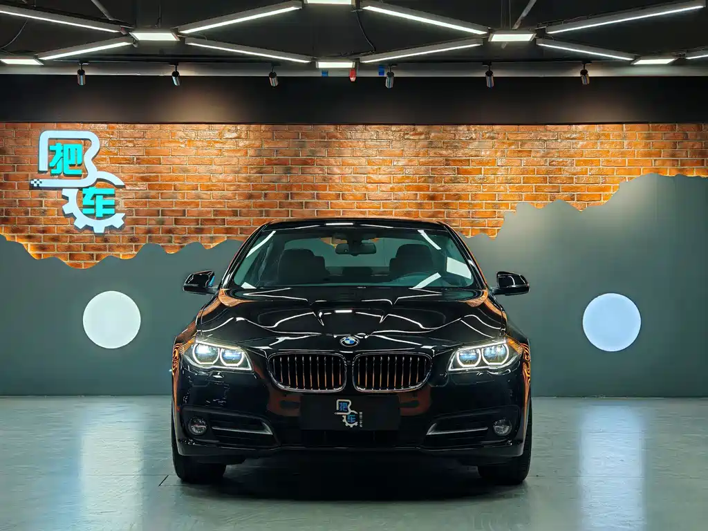 BMW 5 Series — миниатюра 2