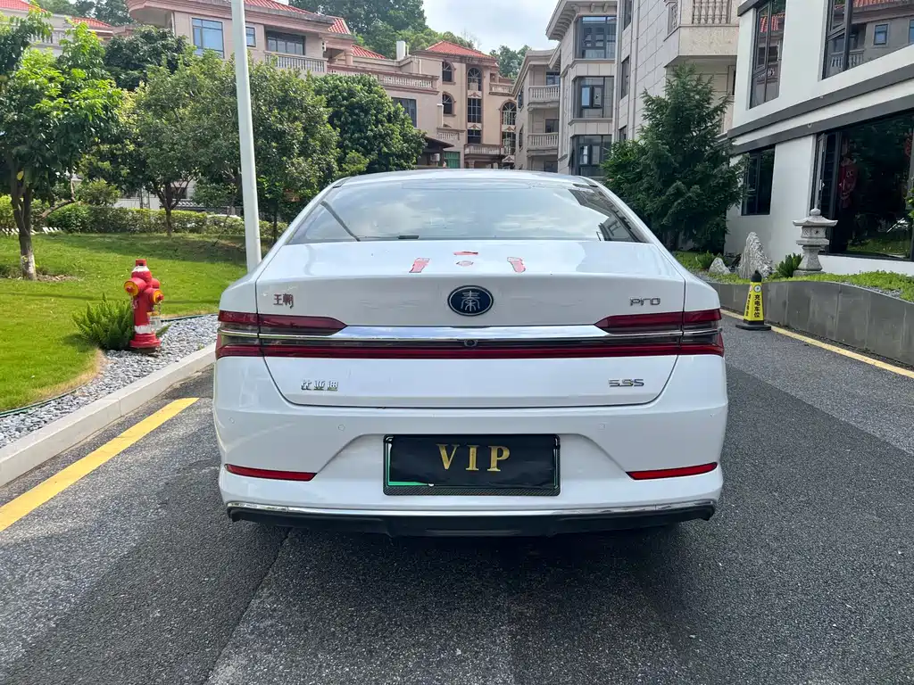 BYD Qin Pro NEV — миниатюра 6