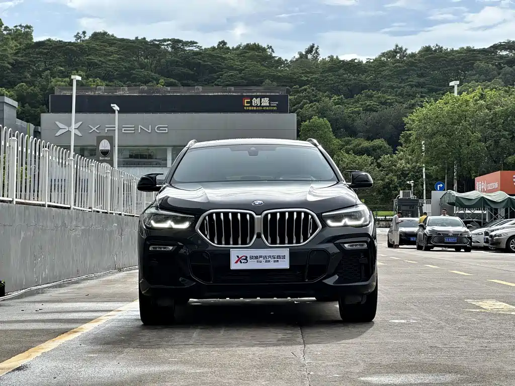 BMW X6 2021 xDrive30i M Sport