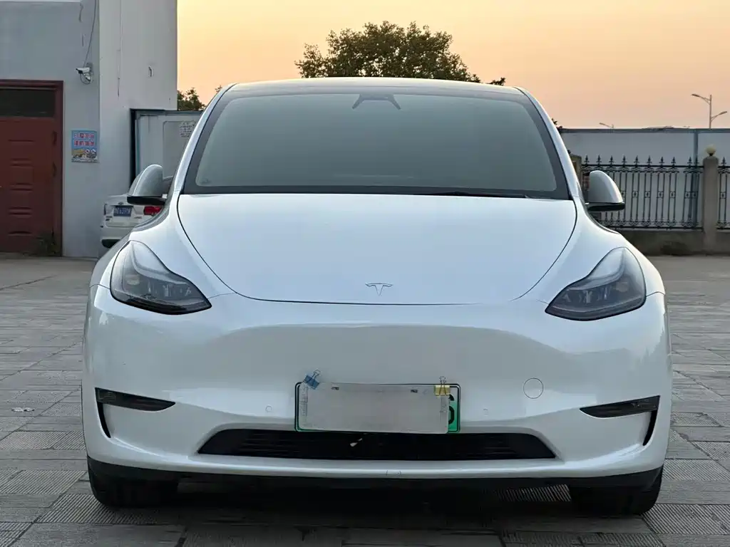 Tesla Model Y — миниатюра 2