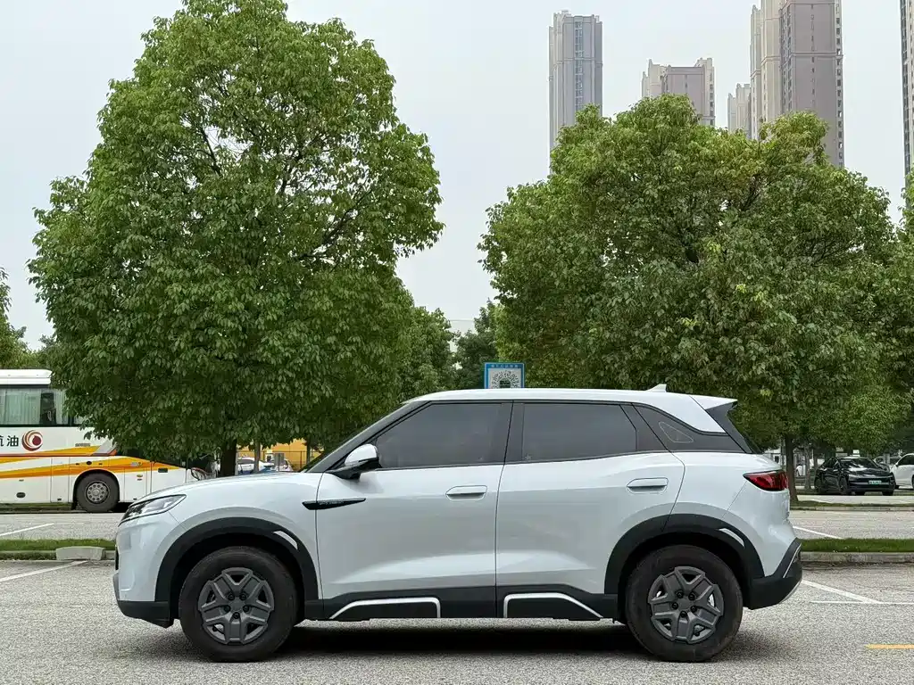 BYD Yuan Up UP 2024 401KM Lead