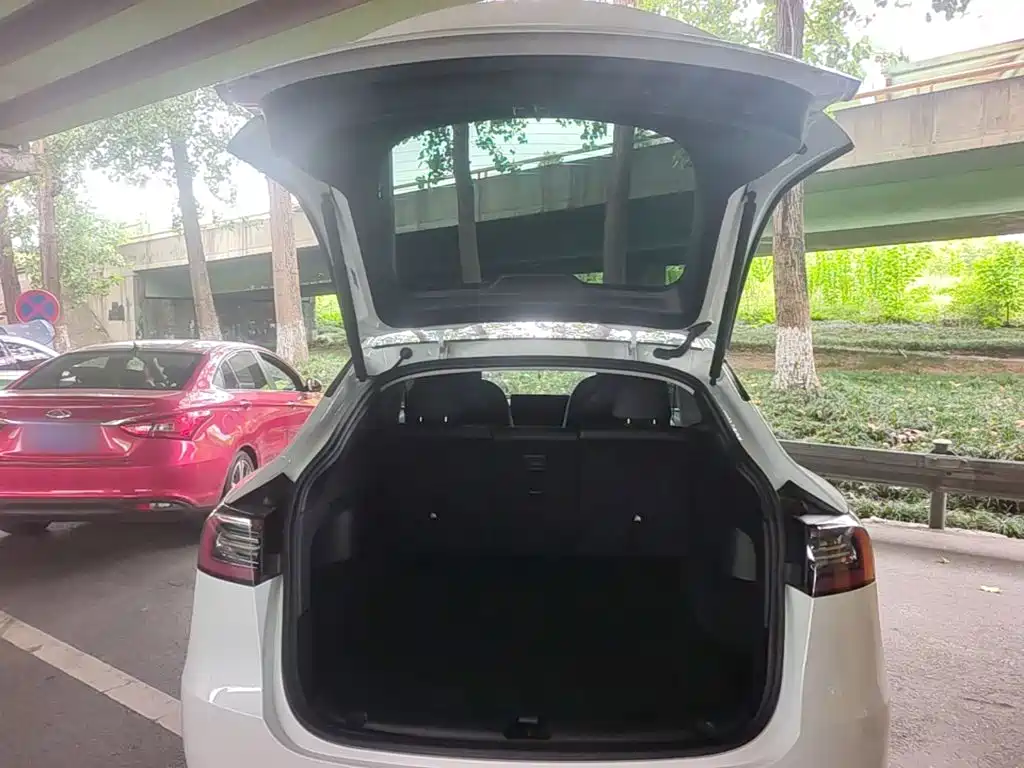 Tesla Model Y — миниатюра 19