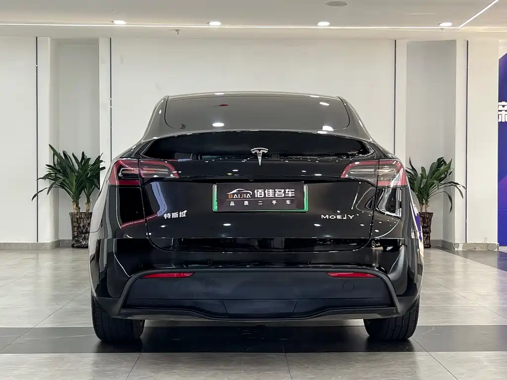 Tesla Model Y — миниатюра 5