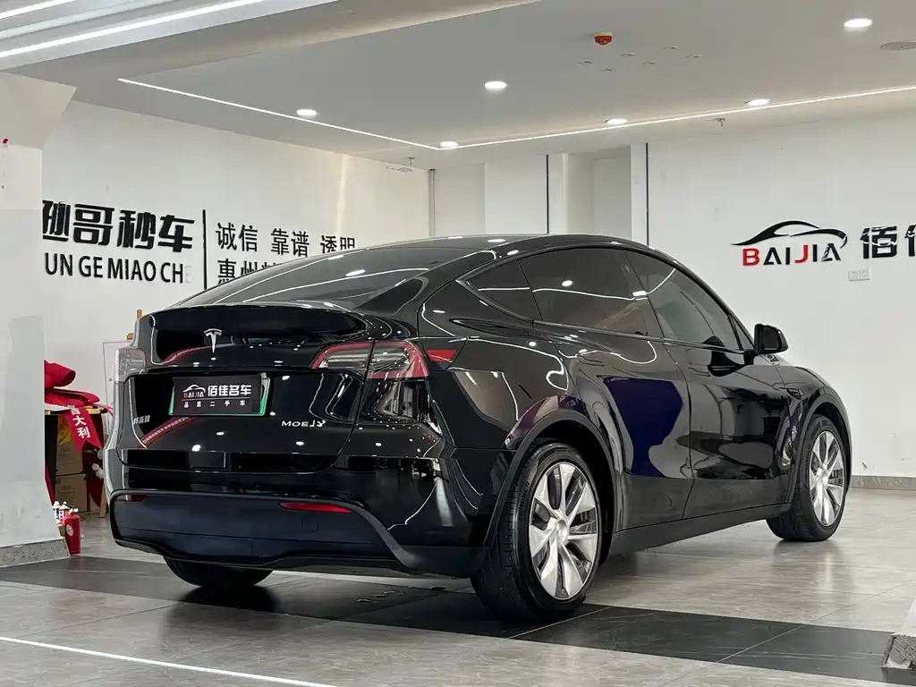 Tesla Model Y — миниатюра 4