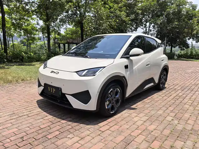 2025 BYD Seagull