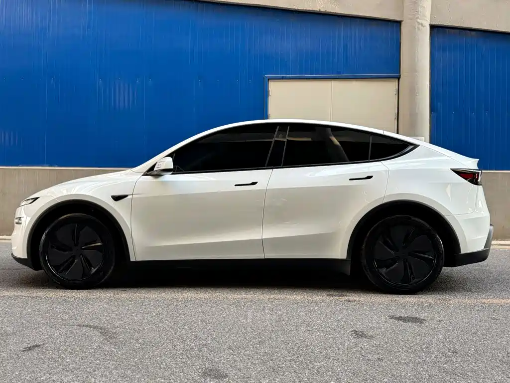 Tesla Model Y — миниатюра 3