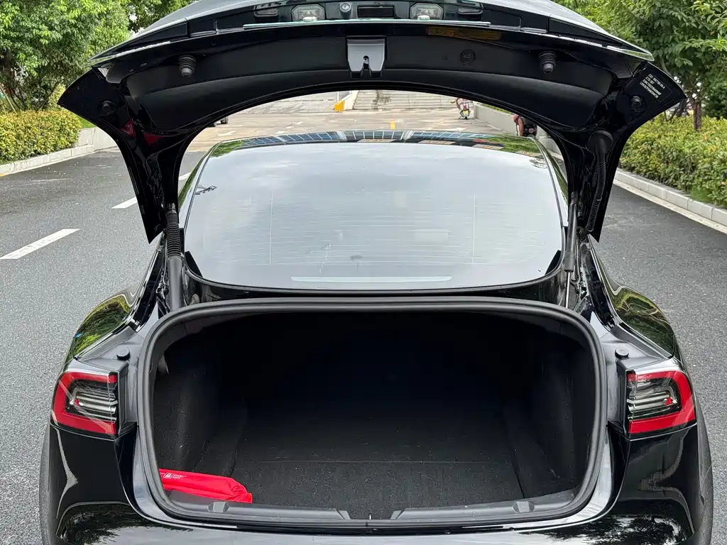 Tesla Model 3 — миниатюра 19