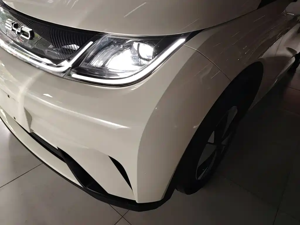 BYD Dolphin — миниатюра 24