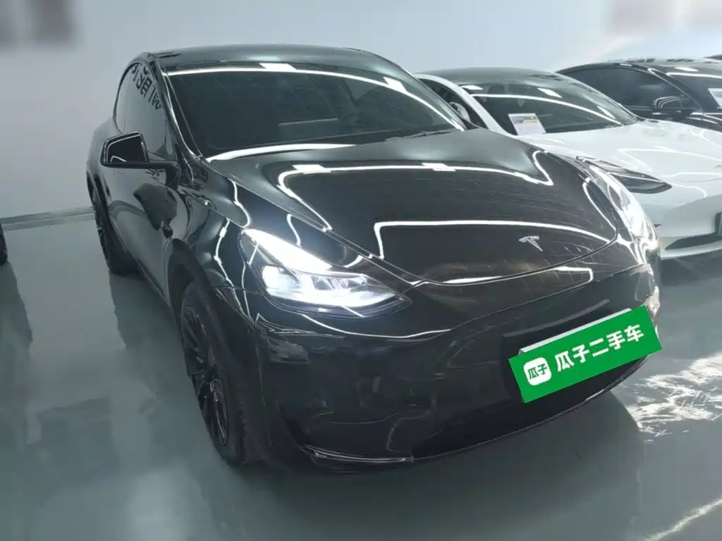 Tesla Model Y — миниатюра 4
