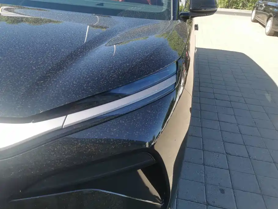 BYD Дон Л. — миниатюра 5