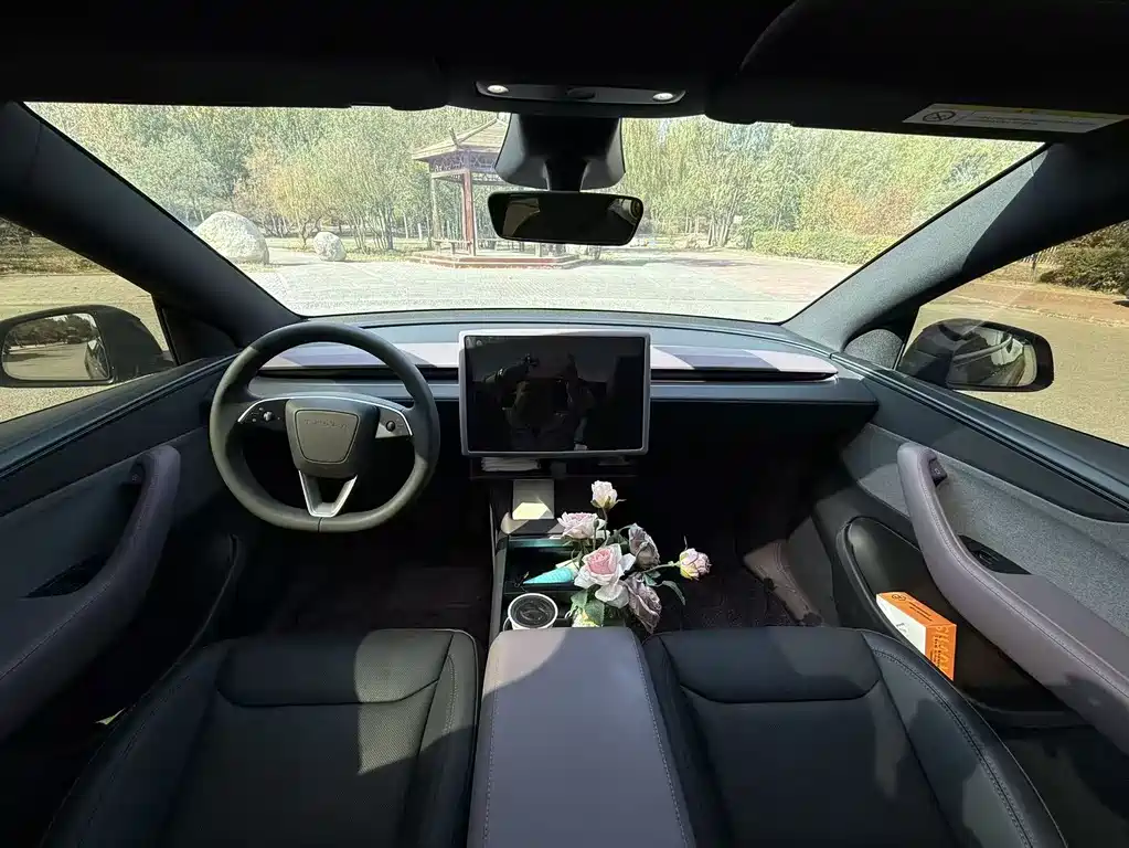 Tesla Model Y — миниатюра 5
