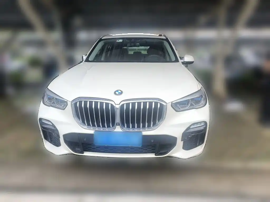BMW X5 (Import) — миниатюра 24